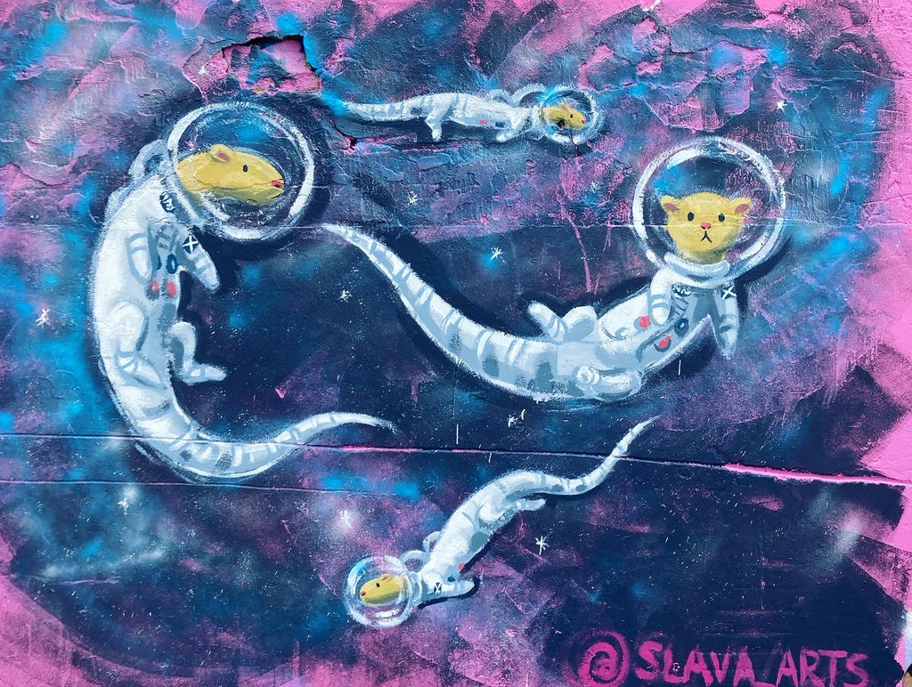 Space Otters