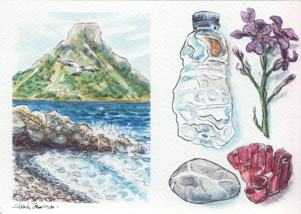 Secret Beach Treasure