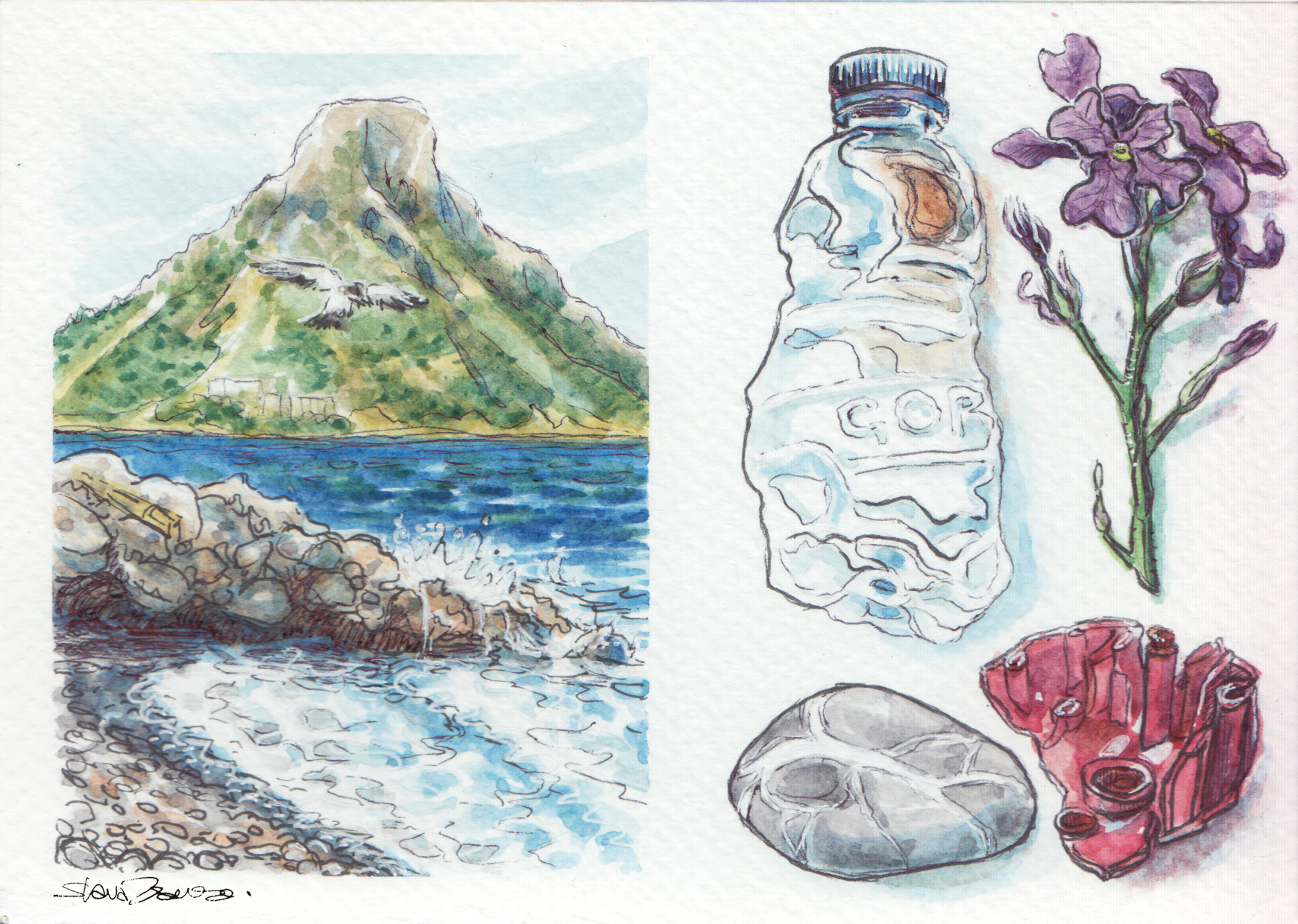 Secret Beach Treasure