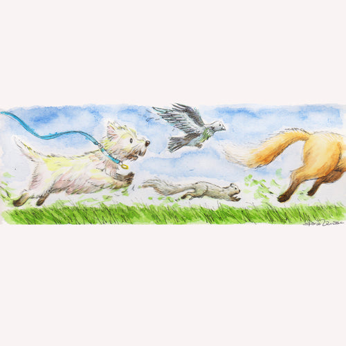 A Book for Benedetto