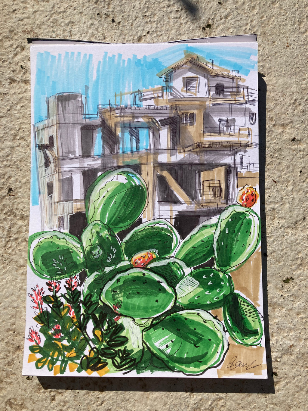 Lakkos Cactus