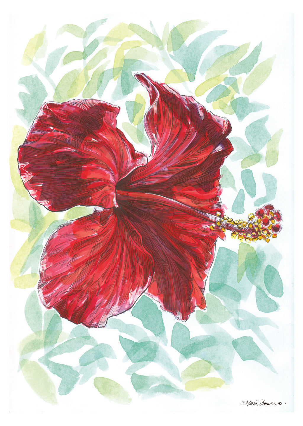 Hibiscus Flower