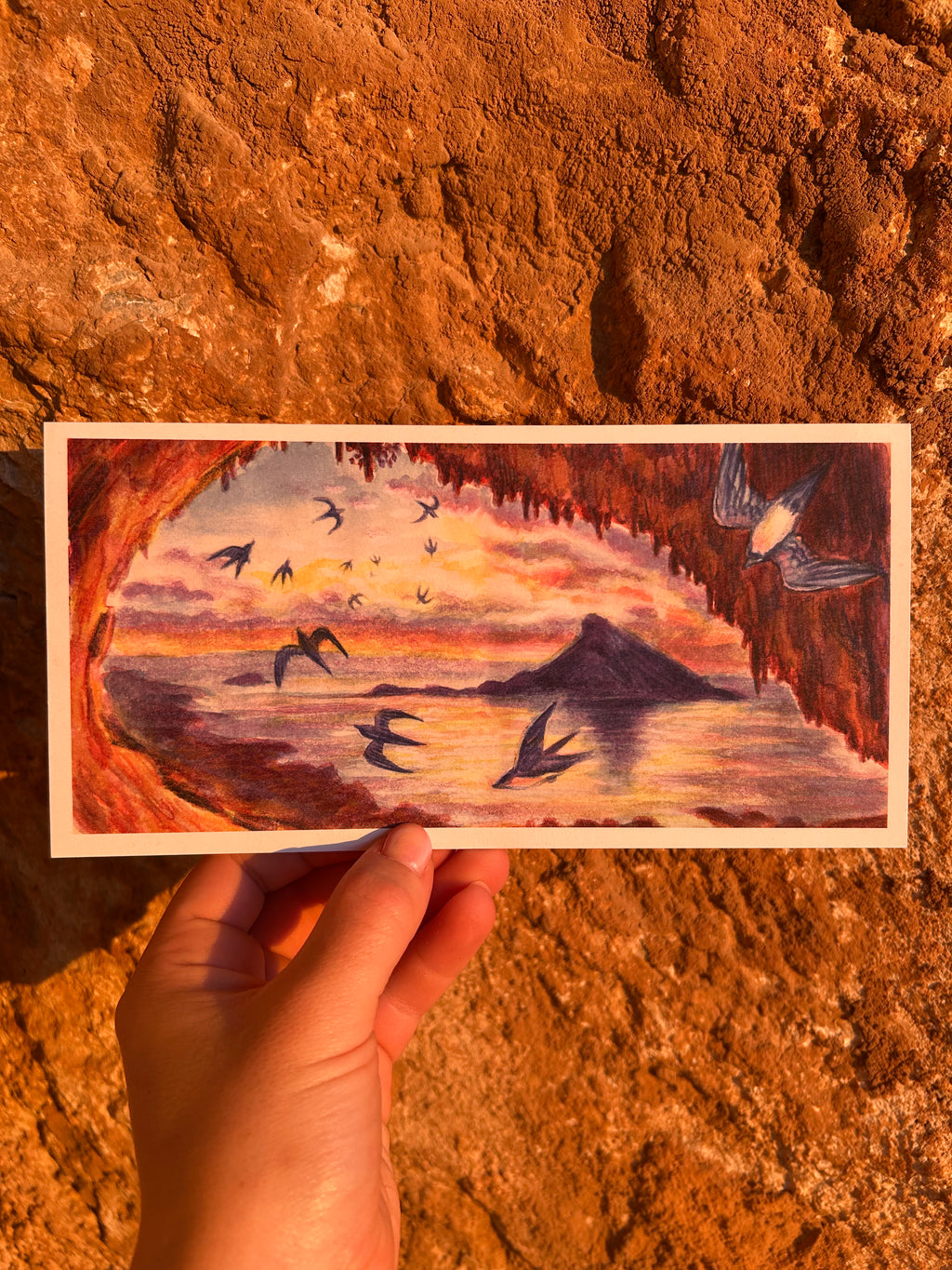 Sunset Swifts