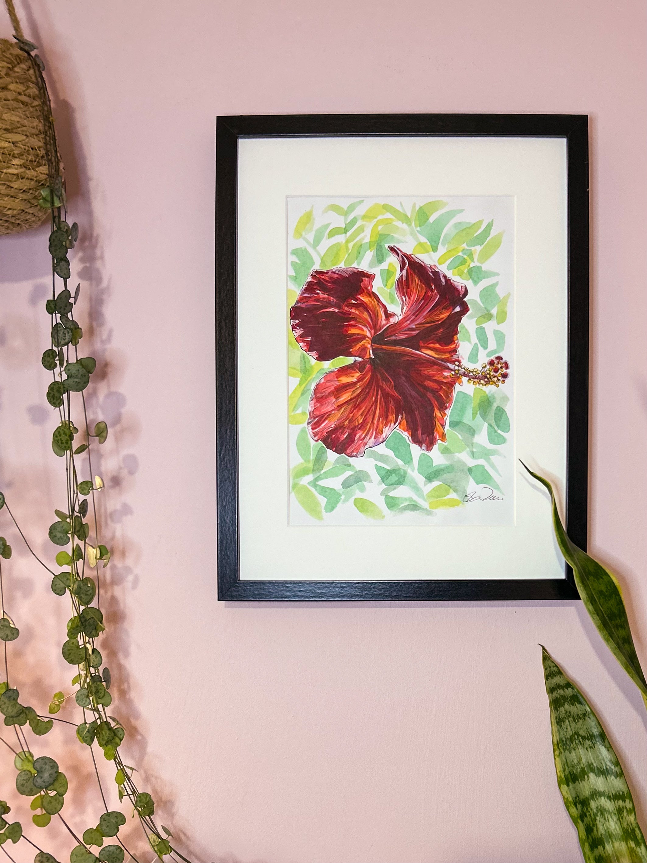 Hibiscus Flower