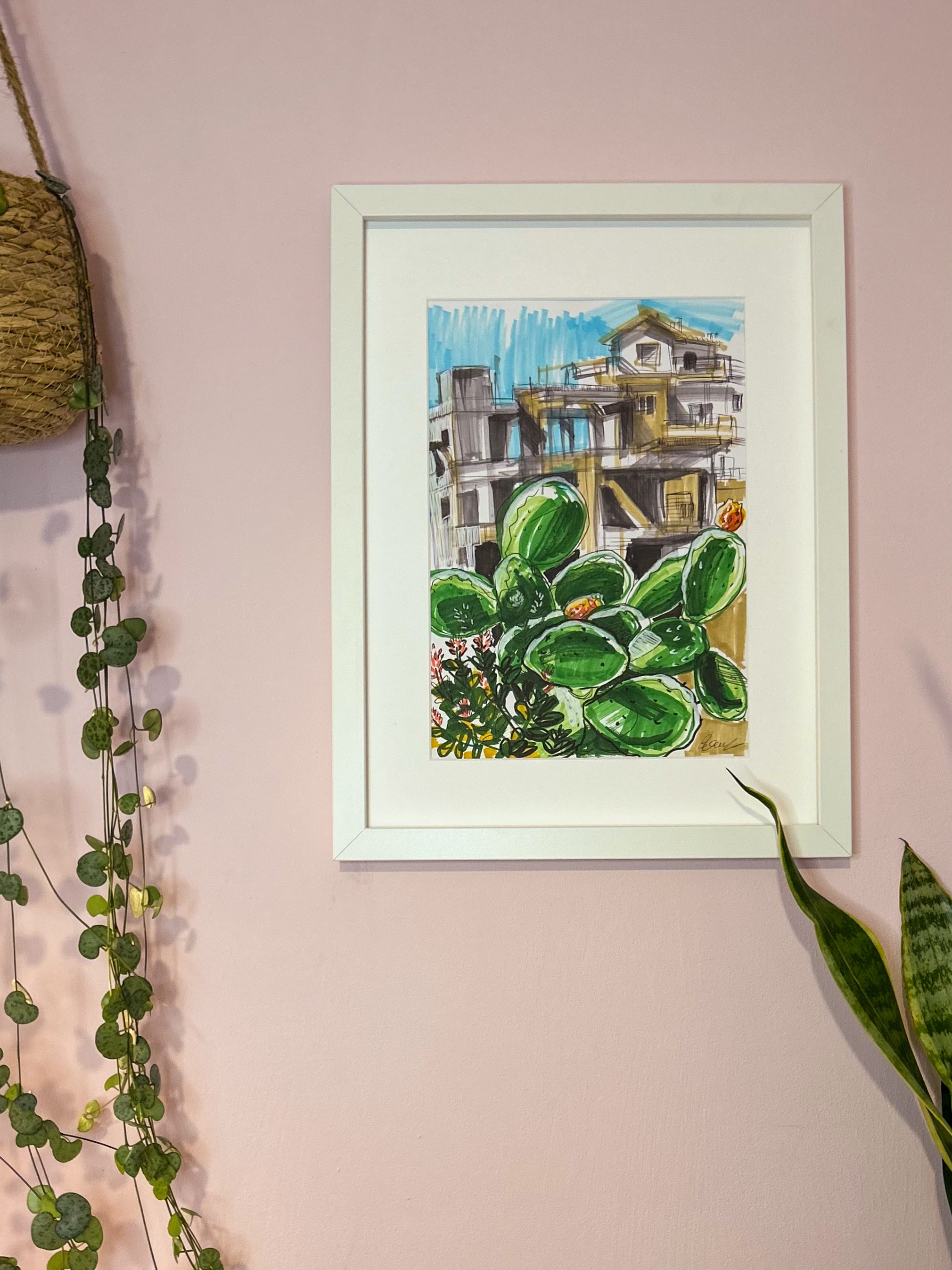 Lakkos Cactus