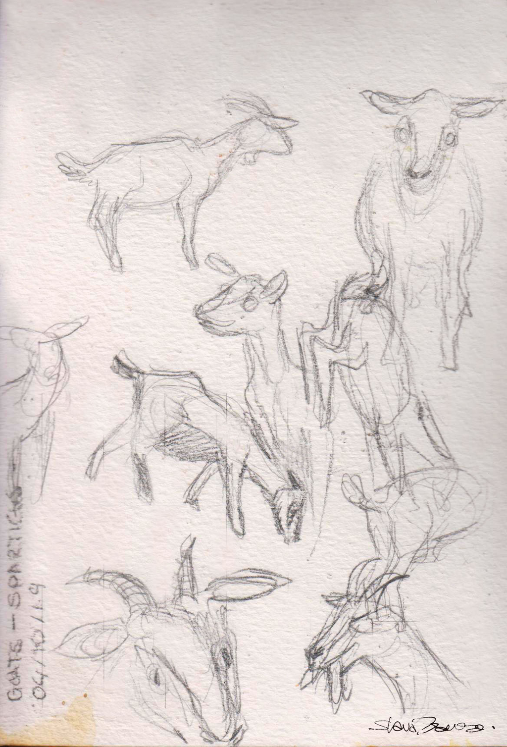 Kalymnos Climbing Guidebook (2025)