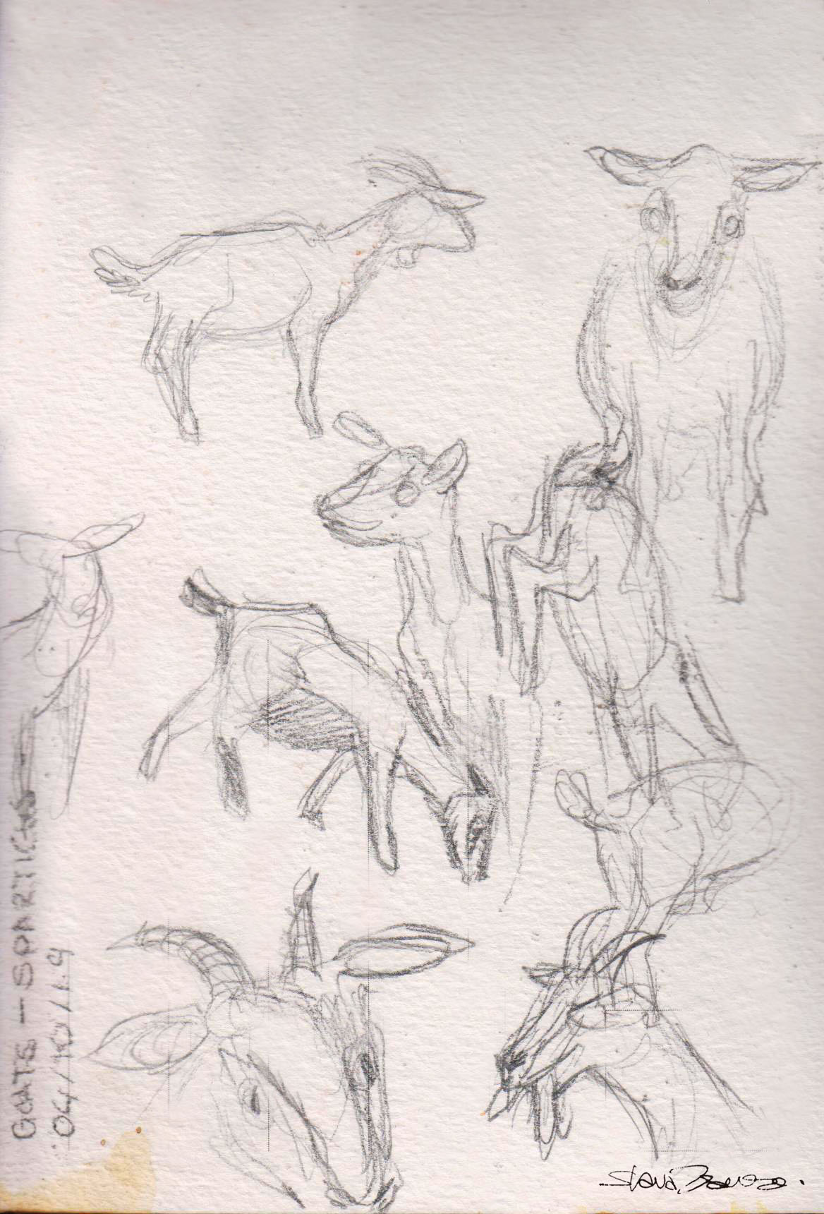 Kalymnos Climbing Guidebook (2025)