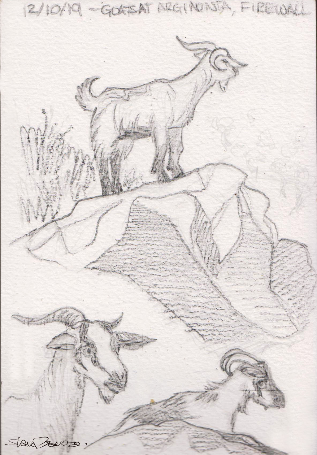 Kalymnos Climbing Guidebook (2025)