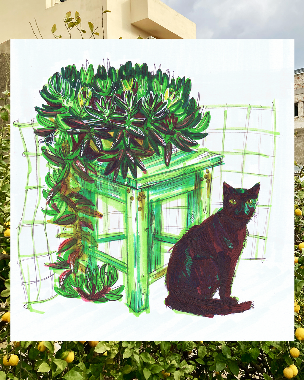 Black Cat Greeting Card