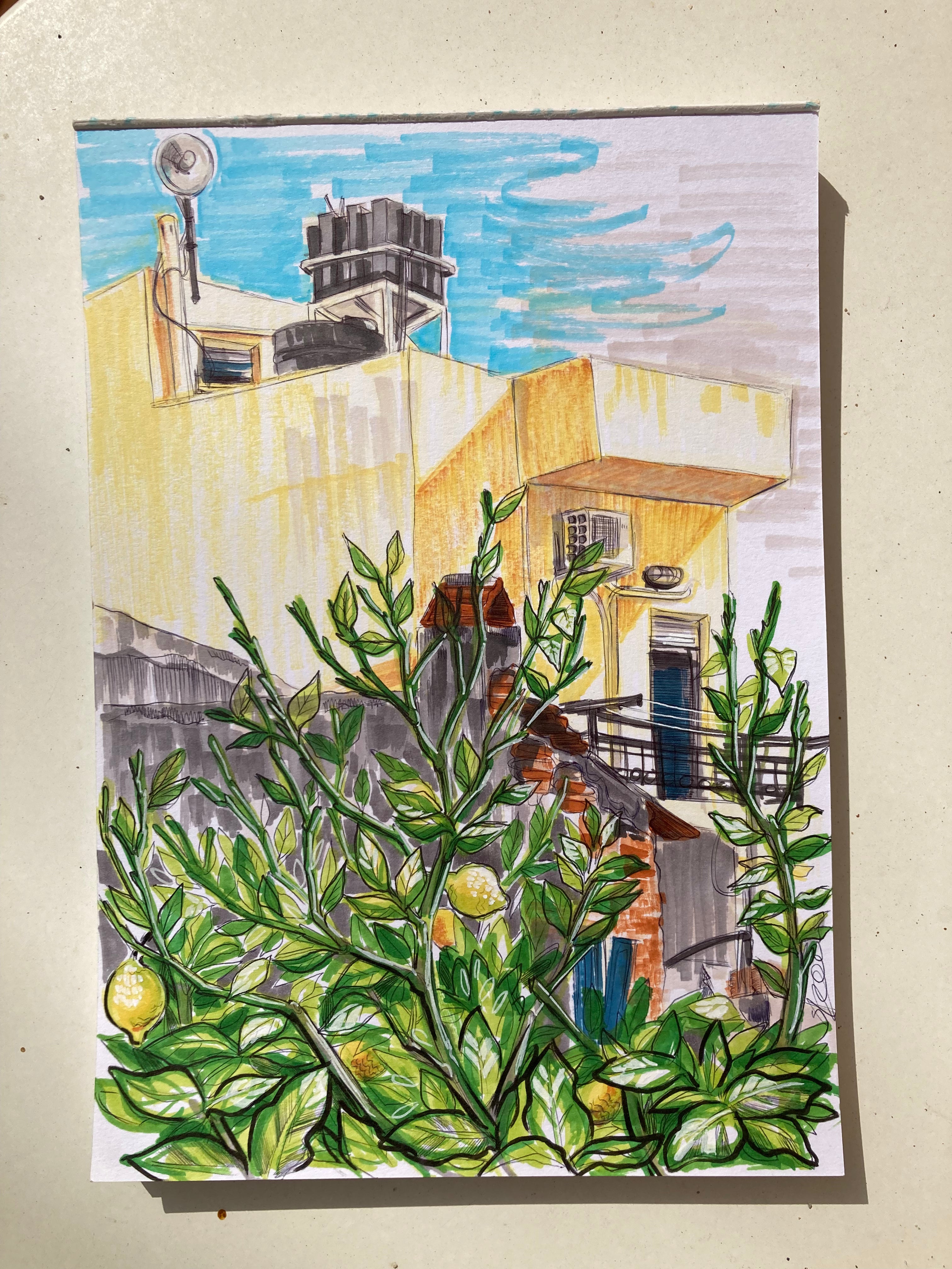 Lakkos Lemon Tree