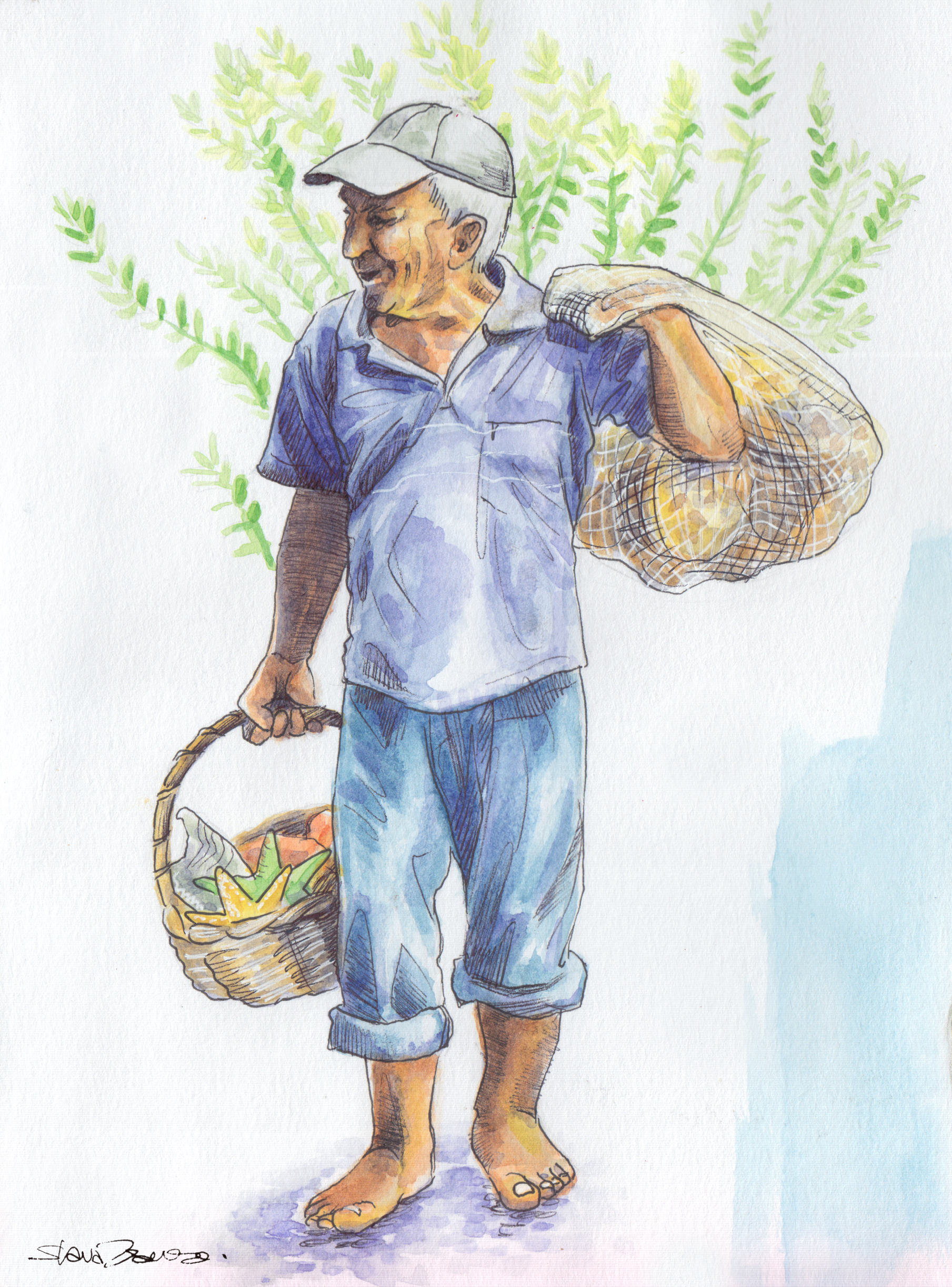 Sponge Seller