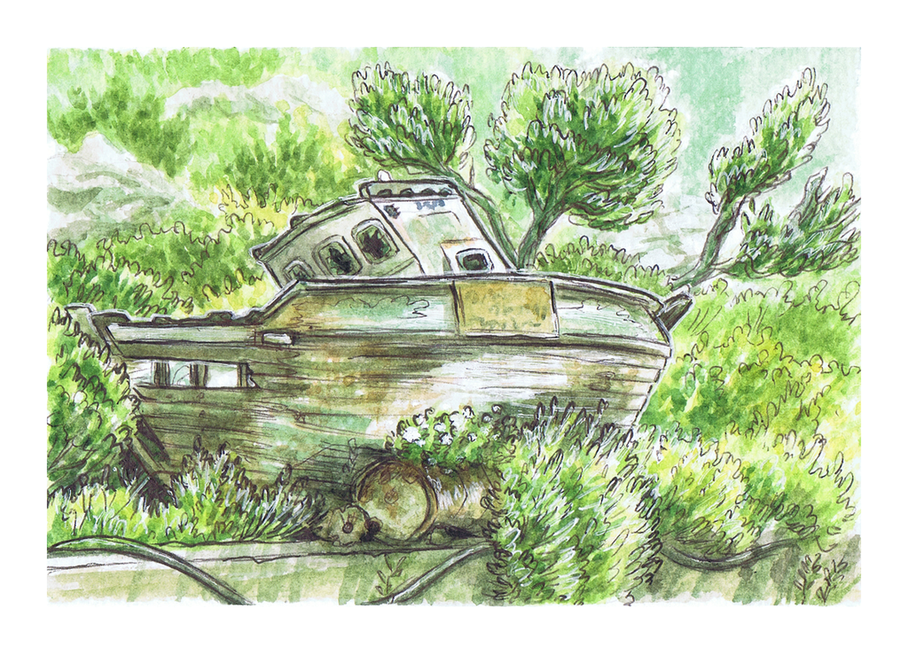 Arginonta Boat