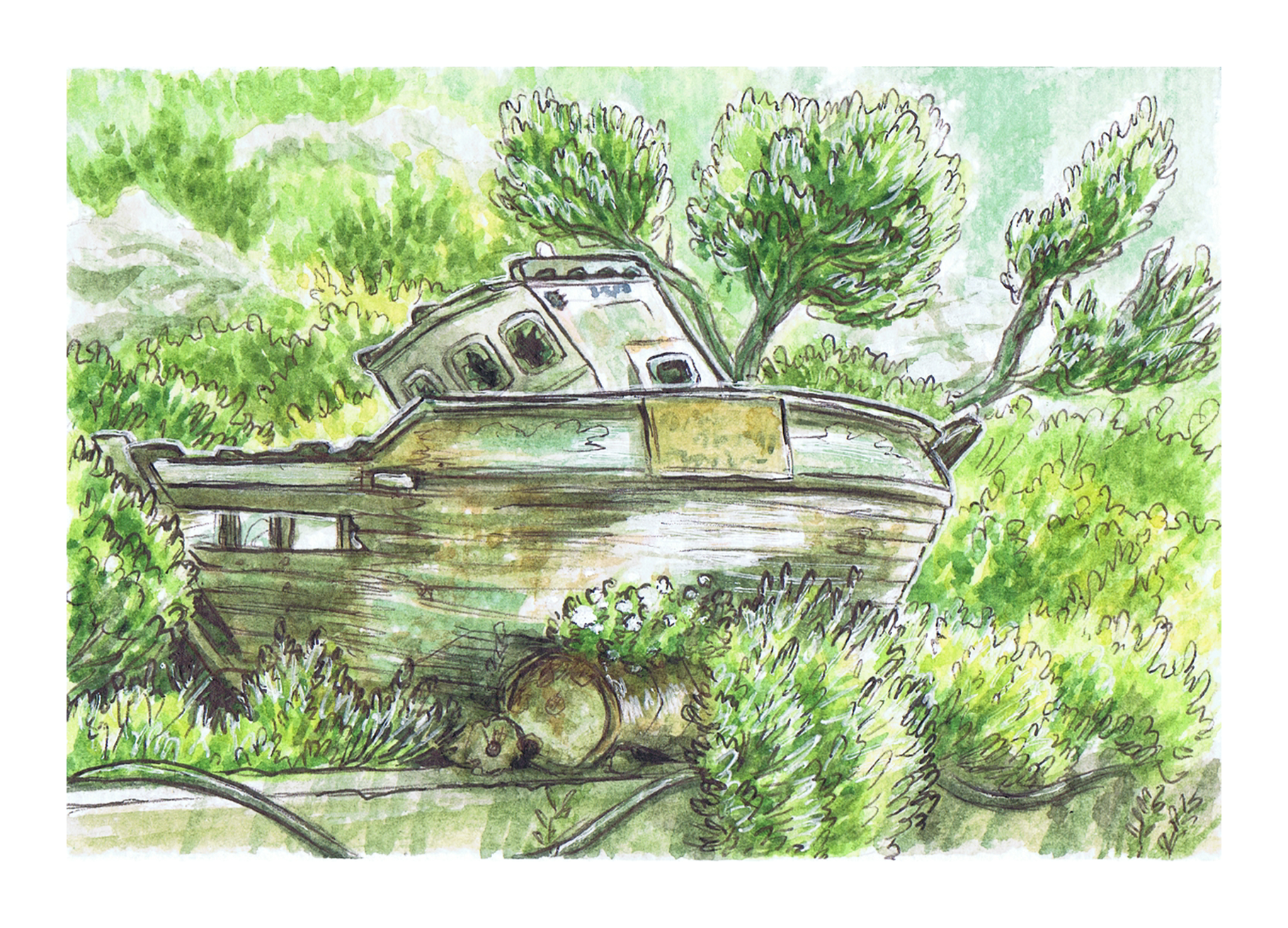 Arginonta Boat