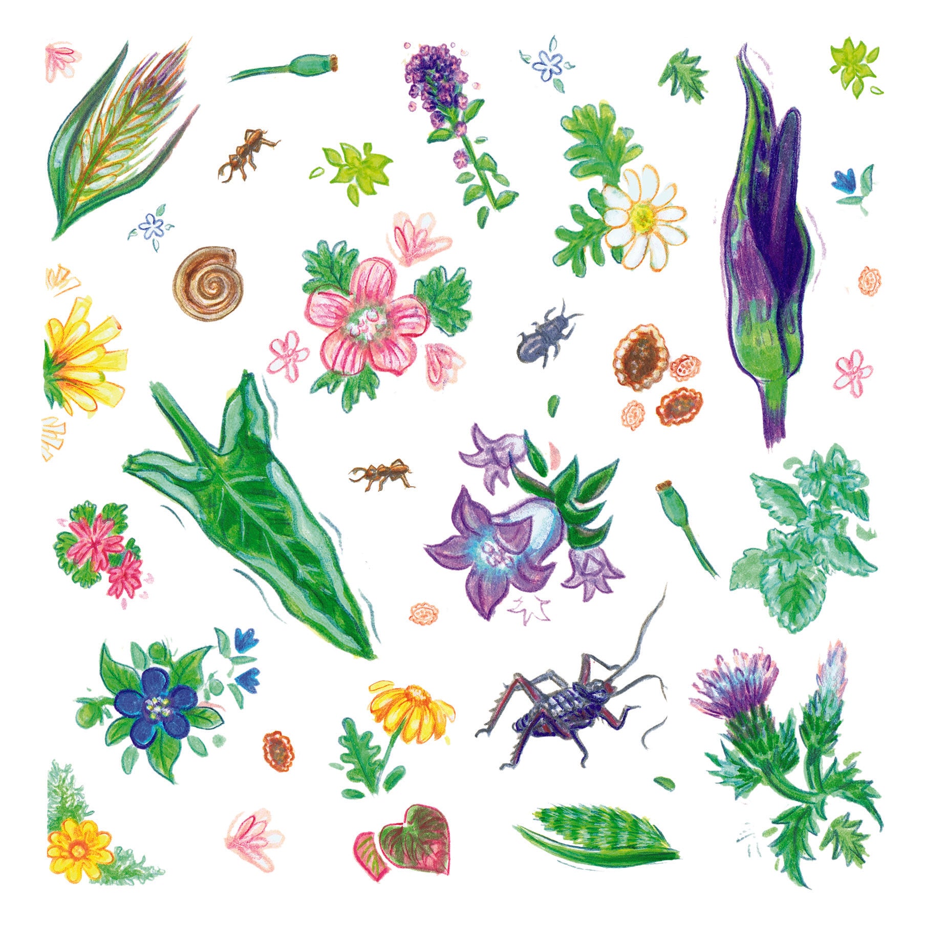 Spring Flowers Greeting Card