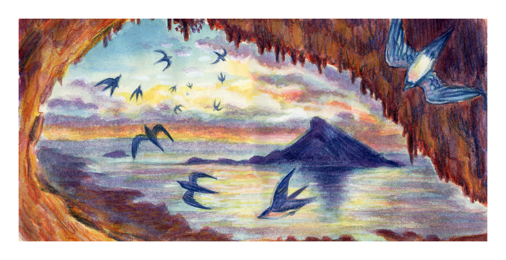 Sunset Swifts