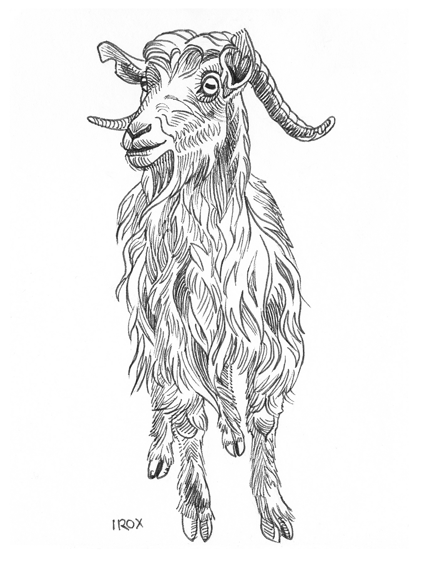 Irox Goat
