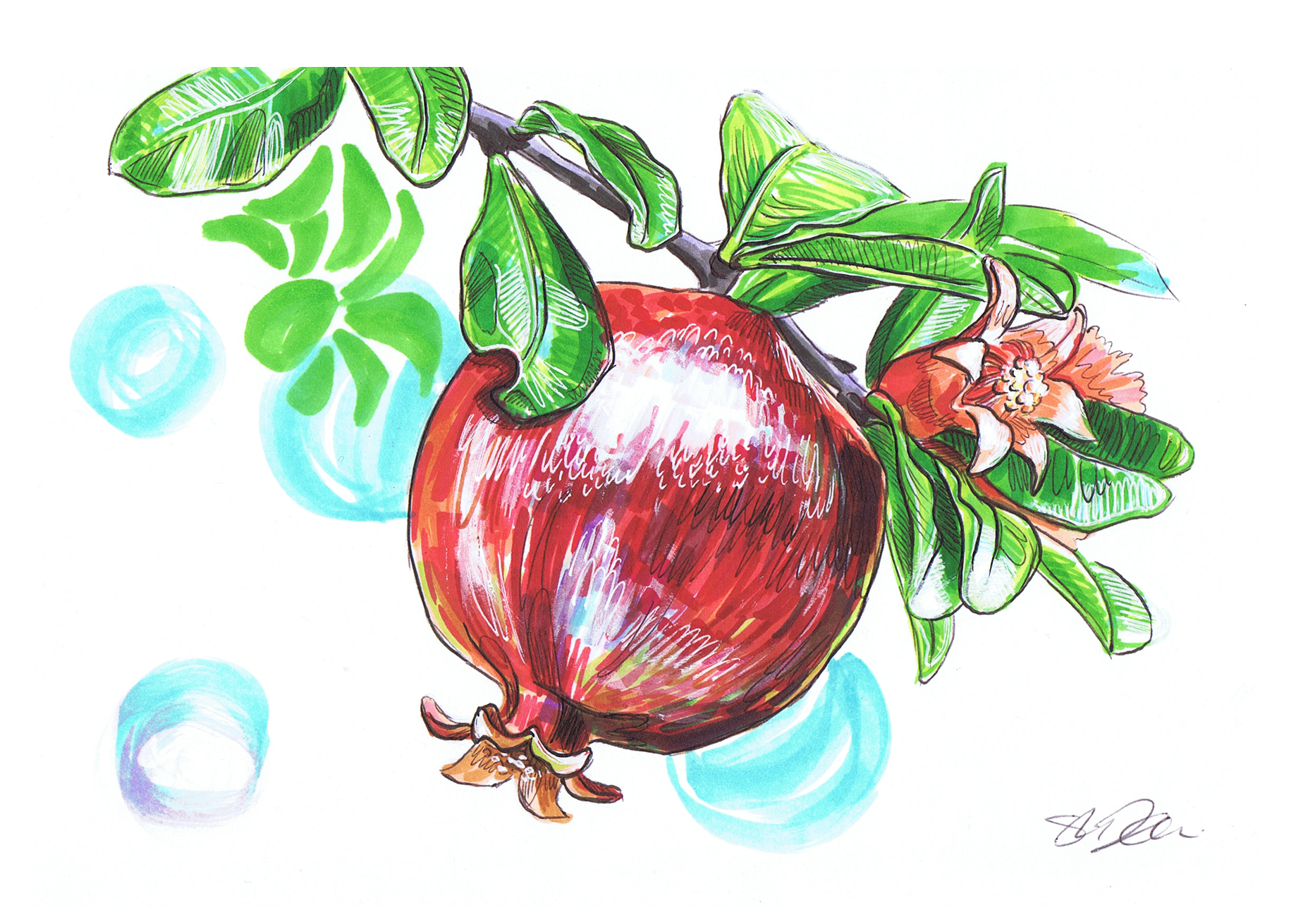 Pomegranate