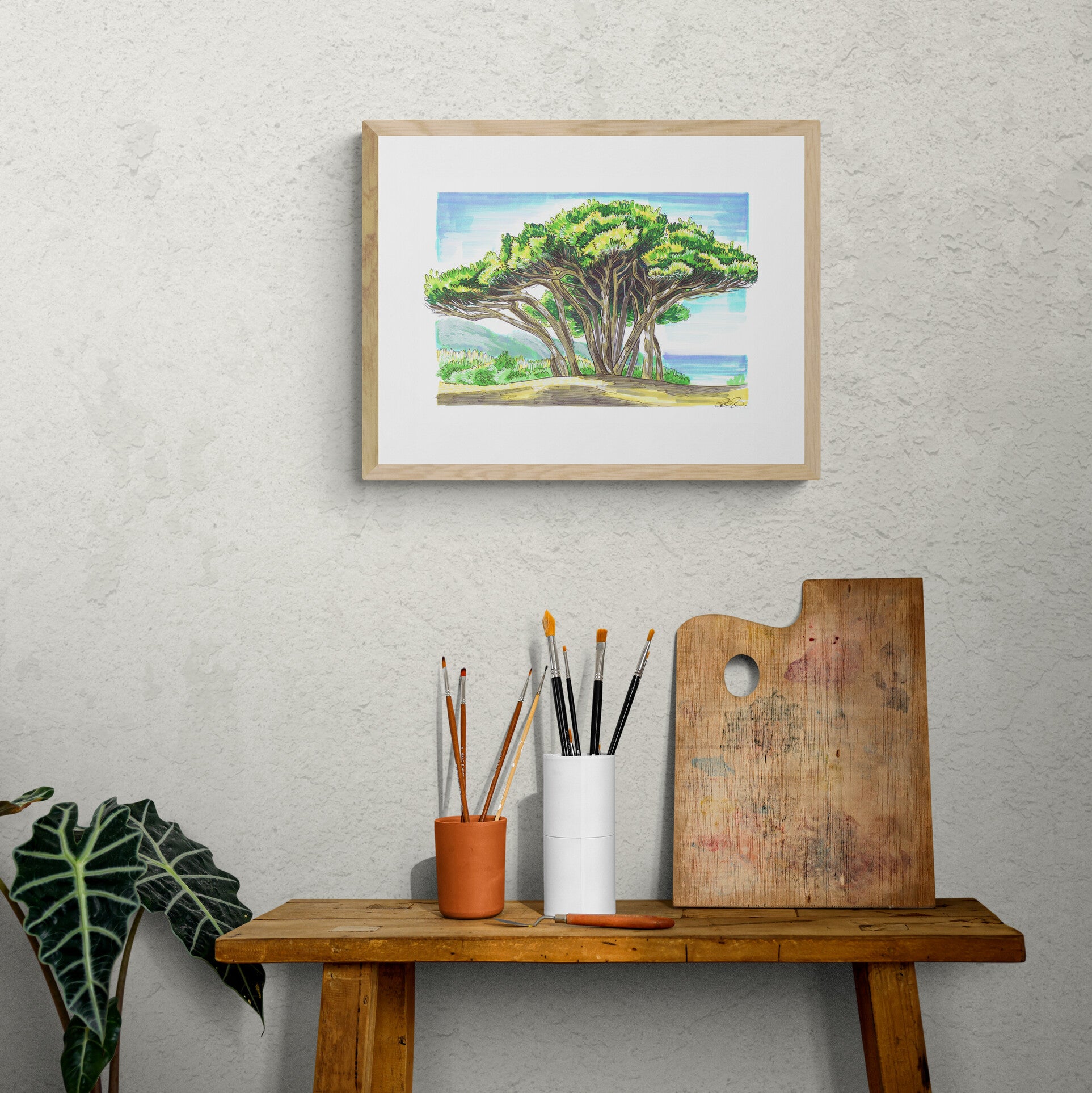 Mediterranean Trees