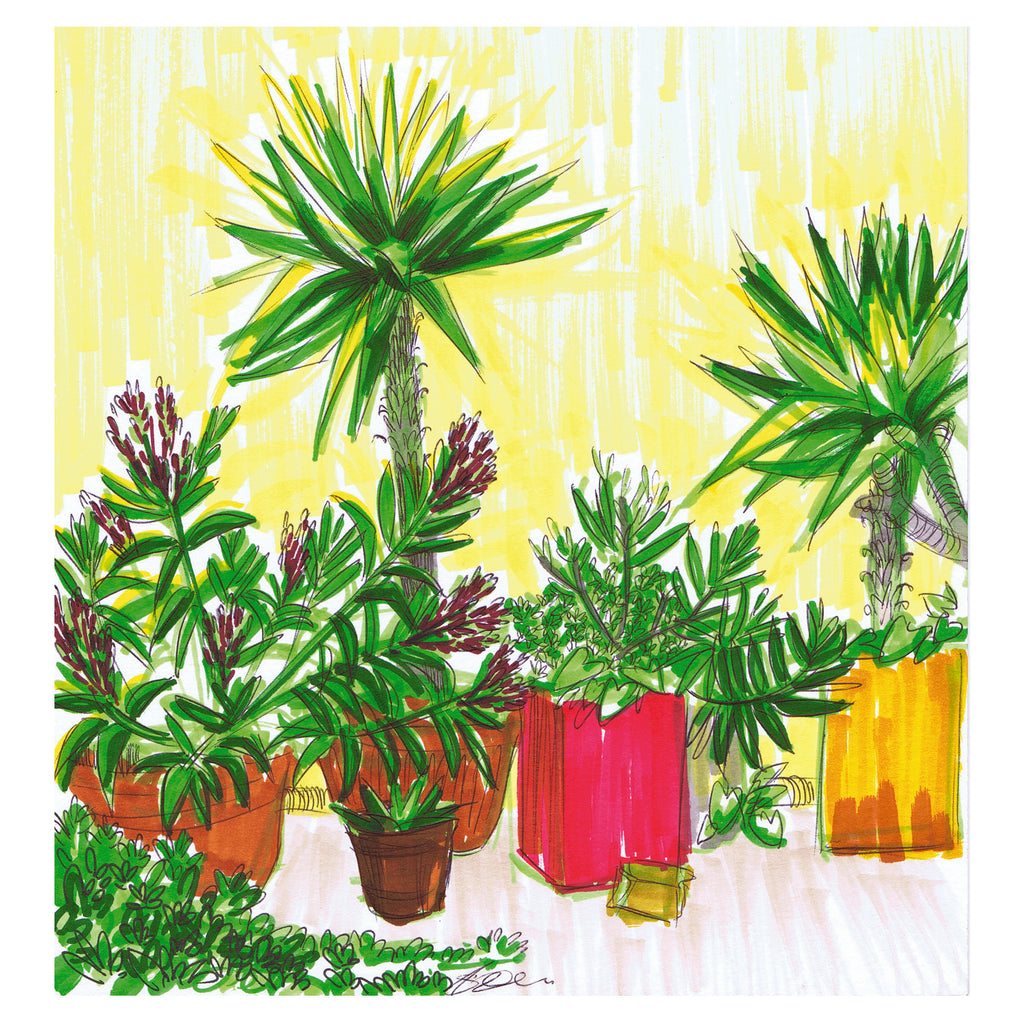 Lakkos Plants Greeting Card