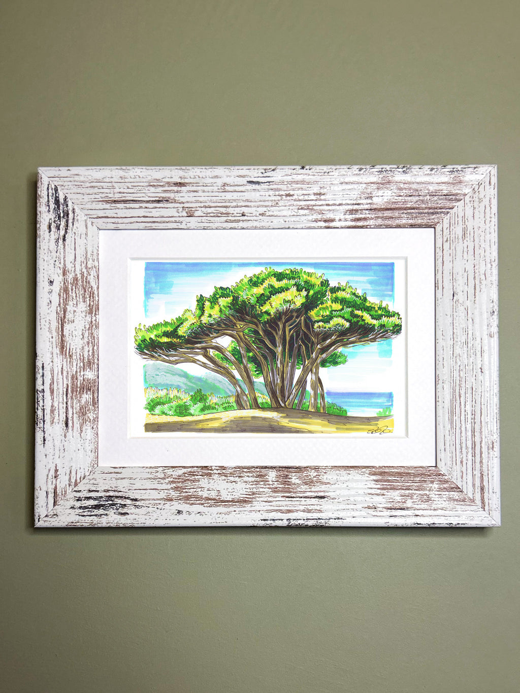 Mediterranean Trees