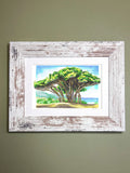 Mediterranean Trees