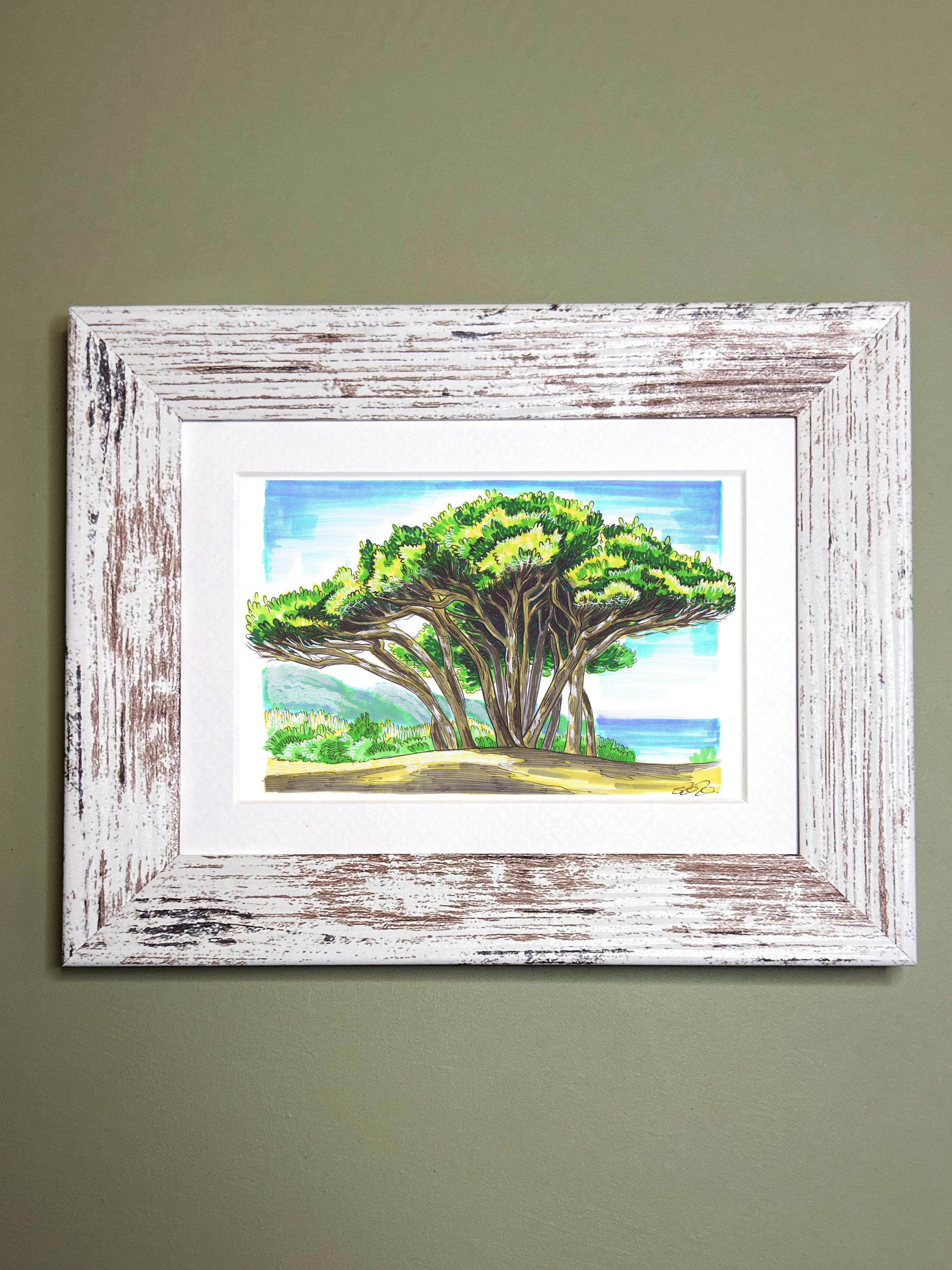 Mediterranean Trees